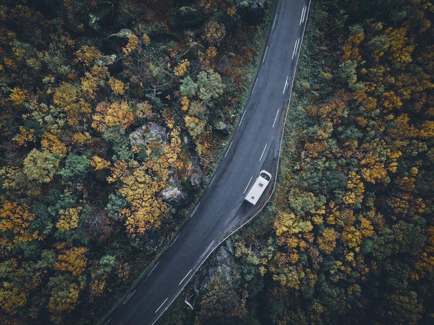 Adventures from a Life Between Worlds